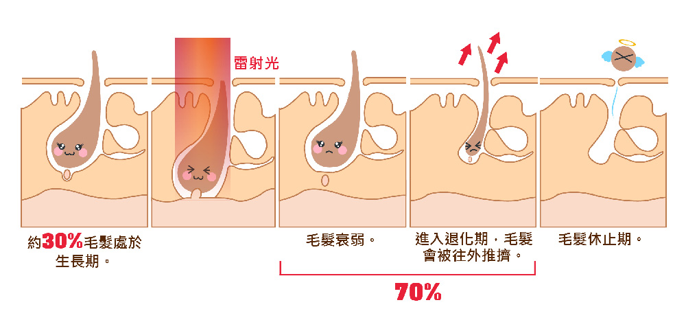容積式加熱